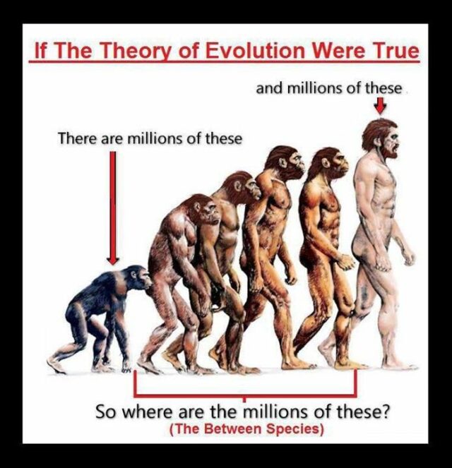  Evolution Debunked