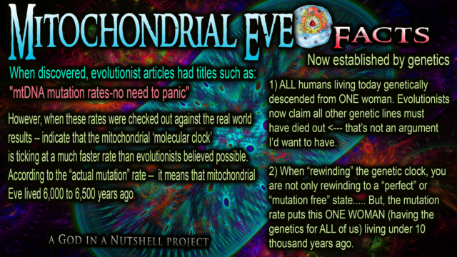 Mitochondrial Eve Deception