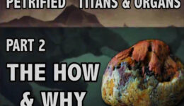 PETRIFIED-TITANS-and-ORGANS-PT-2-THE-HOW-and-WHY