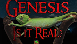 Article-Genesis-Is-it-Real